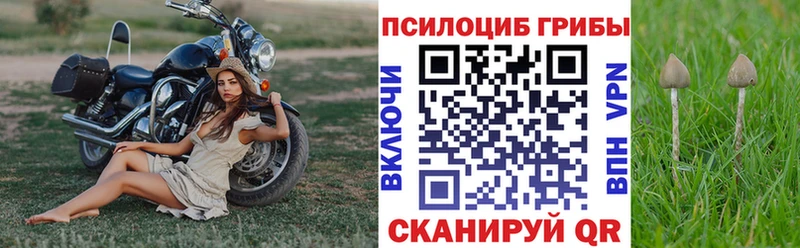 Галлюциногенные грибы прущие грибы  Пятигорск 